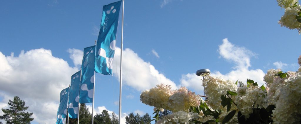 SAMK Tiedepuisto syyshortensia ja liput liehumassa valmistujaispäivänä